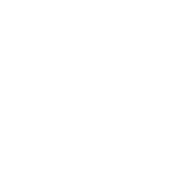 Professional <br>Development